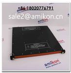 TRICONEX 4000094-310 | sales2@amikon.cn | Large In Stock